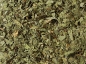 Preview: 1836: Pfefferminze ohne Zusatz von Aroma 50 Pyramidenbeutel im Sachet à 2 g