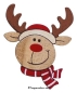 Preview: BIO: „Cascara Weihnachtspräsent“ bestehend aus (Set):