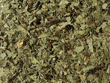 1836: Pfefferminze ohne Zusatz von Aroma 50 Pyramidenbeutel im Sachet à 2 g