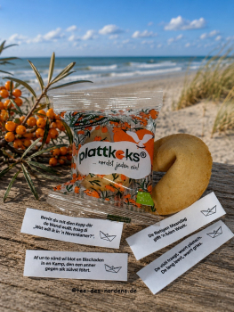 Preview: BIO: 15 x plattkeks Sanddorn im sandfarbenden Geschenkkarton 90 g.