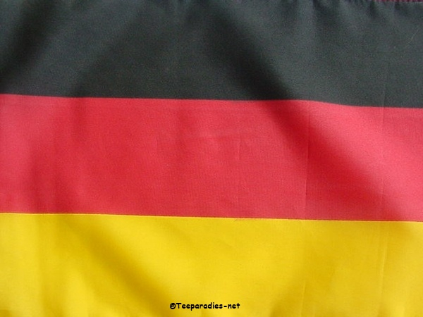 Fahne Deutschland Flagge deutsche Hissflagge 90x150cm mit 2 Metallösen
