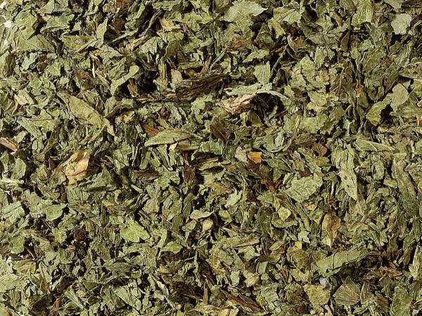 1836: Pfefferminze ohne Zusatz von Aroma 50 Pyramidenbeutel im Sachet à 2 g