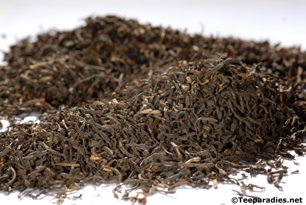 Assam TGBOP