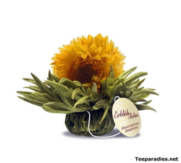 Abloom Tealini "Vanilla Shine"