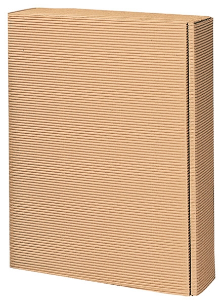 Ostfriesische Sanddorn-Spezialitäten Präsent