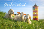 Fotomagnet Ostfriesland 1