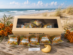 BIO: 15 x plattkeks Sanddorn im sandfarbenden Geschenkkarton 90 g.