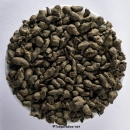 China Stein-Ginseng